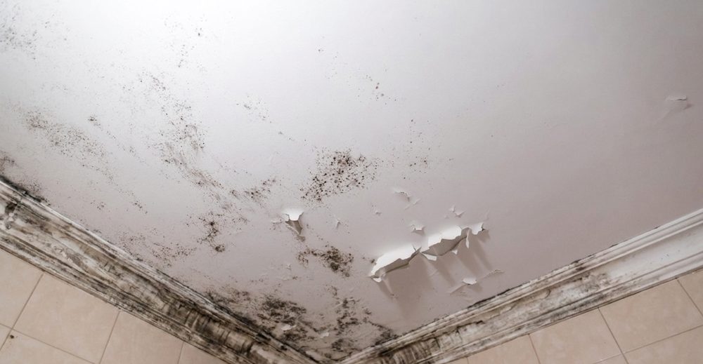 Damp wall photo